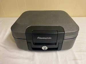 SentrySafe CHW20221 Fireproof Box and Waterproof Box with Key Lock 0.28 Cubic - Picture 1 of 7