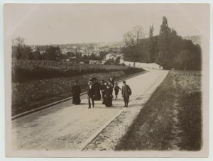 Sur la route d'Avron, près Fontainebleau. Vigne. 1896. - Picture 1 of 1
