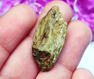 100% Natural Chrysoberyl Cat's Eye Rough 14.30 Ct Loose Gemstone With Free Gift - Picture 1 of 7