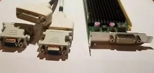 NVIDIA NVS 300 Dual Monitor DVI & VGA Graphics Video Card HP Compaq Dell SFF GPU - Picture 1 of 9