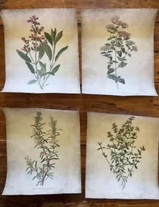 Flower Floral Herbal Vintage Canvas Wall Print Art Decor - Picture 1 of 1