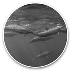 2 x Vinyl Stickers 7.5cm (bw) - Dolphins Mauritius Whale Dolphin Ocean  #43577