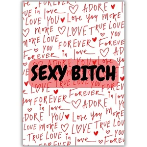Rude Valentine's Day Card, Sexy Bitch, Funny, Girlfriend, Boyfriend, Wife, Lover - Picture 1 of 8