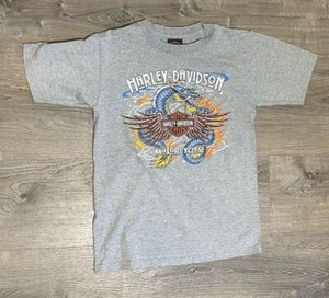 Haddad Apparel Harley Davidson Motorcycles TShirt Gray Size Large Chinese Dragon - Picture 1 of 10
