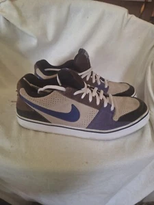 Nike Ruckus Low Skateboarding Granite Wicked Purple. 395770-001. Mens Size 12 - Picture 1 of 8