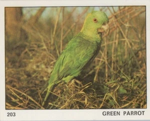 Top Sellers Card - Animals of The World - Card No 203 - Green Parrot - Picture 1 of 2