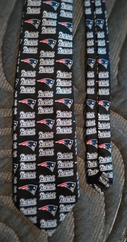 New England Patriots Polyester Tie NFL Cover