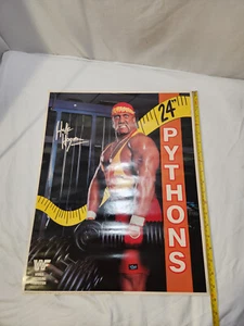 Vintage 1990 Hulk Hogan Pythons WWF - Foto 1 di 7