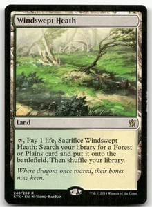 Windswept Heath #248 (LP) Khans of Tarkir KTK Magic MTG - Picture 1 of 2