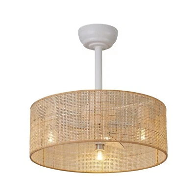 20 inch Boho Ceiling Fan with light Flush Mount, Rattan Caged Ceiling Fan wit... - Image 1 of 4