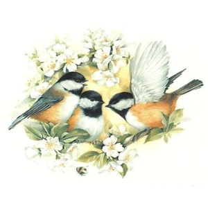 Chickadee Birds Overglaze Ceramic Decals - Picture 1 of 1