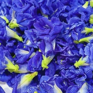 Butterfly Pea Flower Tea Supports Reproductive Health Healthy Skin & Hair Growth - Picture 1 of 6