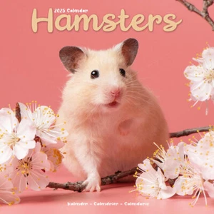 HAMSTERS - CALENDARIO 2025 - NUEVO - 604373 - Imagen 1 de 2