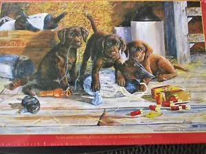 SunsOut 100 Piezas Terry Doughty Arte Puzzle "Caught in the Act" Nuevo 10" x 16" - Imagen 1 de 3