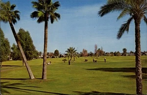 Sun City, AZ Golf Golfplatz Maricopa County Arizona Postkarte - Bild 1 von 2