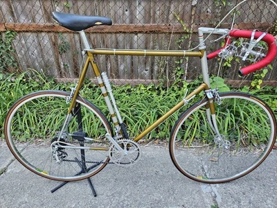 Bicicleta profesional Raleigh Carlton 1970, 65 cm, 10 velocidades, Campagnolo, Reynolds 531 Foto 1 de 4