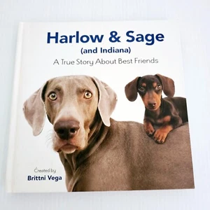 Harlow and Sage (and Indiana) Hardcover book about Best Friends by Brittni Vega - Picture 1 of 22
