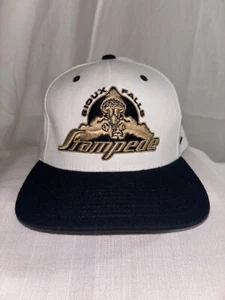 Cappello Sioux Falls Stampede Hockey Flex Fit NUOVO SENZA ETICHETTE bianco Zephyr USHL - Foto 1 di 4
