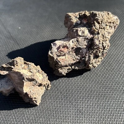 193 grams as found Dinosaur Bone Fossil Arizona and New Mexico border (2) Pieces - Image 1 of 4