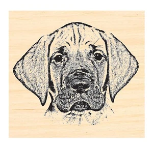 Estampilla de goma para cachorro P129 Boxer - Imagen 1 de 1