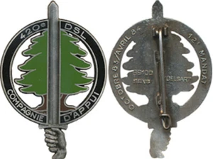 420° D.S.L, Compagnie d’Appui, 12° Mandat, FINUL, LIBAN, Cedre, Delsart (6493) - Imagen 1 de 1