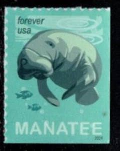 #5851  2024 Save the Manatees - MNH - Picture 1 of 1