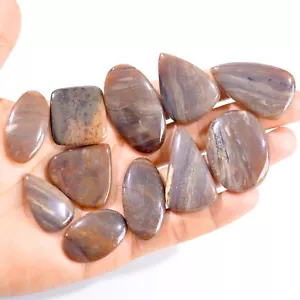 Lote de 11 piedras preciosas sueltas de cabujón de jaspe de lujo natural de 501 quilates 30x18-45x25 mm #2945 - Imagen 1 de 4
