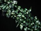 Freshwater Pearls Darker Green Stick Irregular 35cm Strand Jewelry 