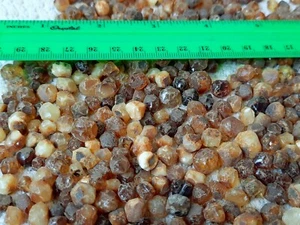 Misbah Bernstein Perlen Kugel Tropfen Baltische Steine Mosaik Anhänger 100g Halskette - Bild 1 von 8