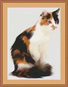 Kit punto croce gatto tartaruga - Foto 1 di 2