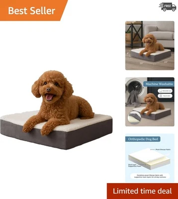 Cozy Orthopedic Dog Bed - 20x15 Memory Foam Mat with Removable Sherpa Top - Image 1 of 4