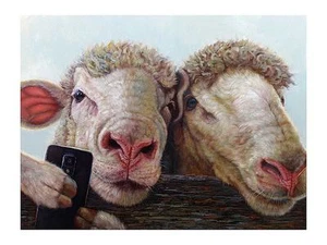 Selfie Lucia Heffernan Schaf Kunstdruck - Bild 1 von 1
