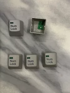 IBM Model M F F122 SSK Keyboard Keycaps Buckling Spring Caps Genuine - Picture 1 of 1