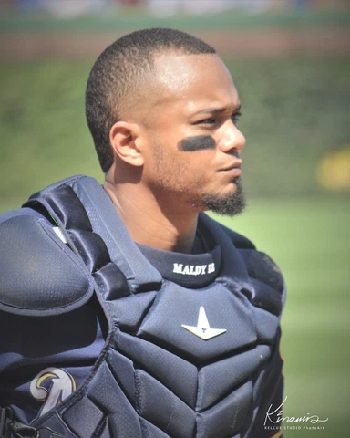 Martin Maldonado Houston Astros Game Action Orig PhotoArt Pic Var Size & Options Cover