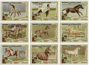 Juego completo de 15 cartas 2019 Topps Allen and Ginter Mares and Stallions - Imagen 1 de 2