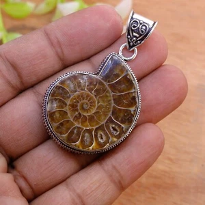 Ammonite Fossil Pendant Necklace, Handcrafted Fossil Jewelry, AM-01 - Picture 1 of 16