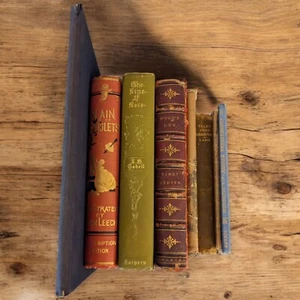 Lot 8 Antique Vintage Books Some RARE Shakespeare Lamb Cabell AEsop Twain READ - Picture 1 of 19