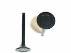 For 1989-1990 Mitsubishi Sigma Exhaust Valve 83434GT
