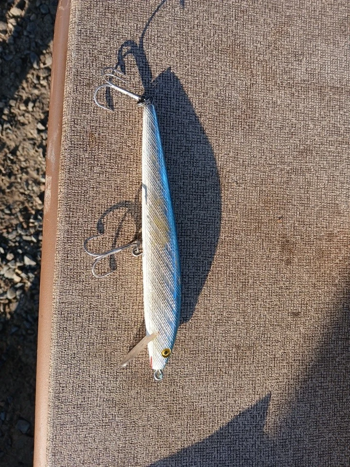 VTG Rebel Minnow Floater Crankbait F403-SW blue Fishing Lure 7” Used - Image 1 of 1