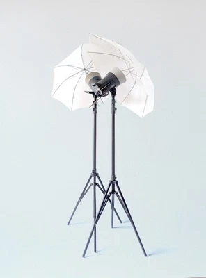 Elinchrom D-Lite 4 it To Go Set - Bild 1 von 4