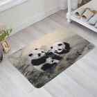 Tapis de sol peinture encre de bambou animal panda tapis d'entrée porte salon cuisine