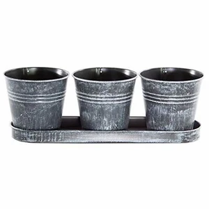 Gardener Select Round Planter w/ Tray Set, Black (12.5" x 4" x 4.5") - Picture 1 of 1