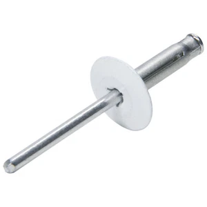 ALLSTAR PERFORMANCE 18061 Lg Hd Rivet 250Pk White Flange Type Alum Mandrel - Picture 1 of 1