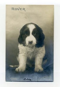 Cachorro con patas enormes, "Rover", postal 1908 RPPC, perro - Imagen 1 de 2