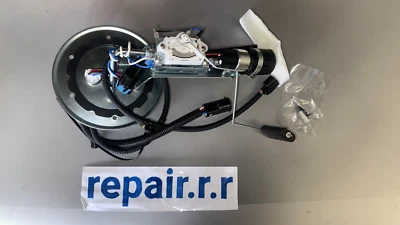 Conjunto de suspensión de bomba de combustible Delphi HP10199 (Ford, Lincoln, Mercury) NUEVO Foto 1 de 4