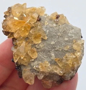 +++ CALCITA, MINA DE MADERA DE OLMO ESFALERITA, CARTAGO, CONDADO DE SMITH, TENNESSEE +++ - Imagen 1 de 8