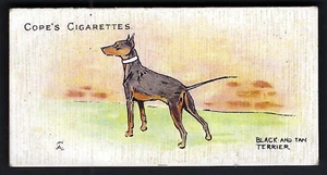 COPE - DOGS OF THE WORLD (ENGLISH) - #7 BLACK AND TAN TERRIER - Picture 1 of 2
