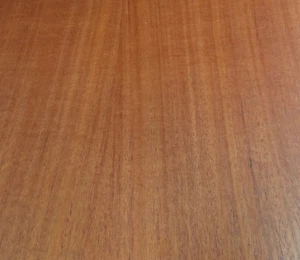 "Chapa de madera de caoba Sapele cinta preacabada 24"" x 24"" sobre soporte de papel 1/40" - Imagen 1 de 3