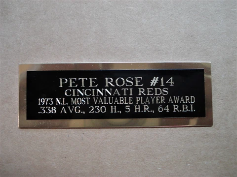 Pete Rose Reds 1973 NL MVP Award Baseball Card Plaque Nameplate 1" X 3" Cover