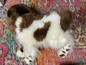 Douglas Bass Pro Springer Spaniel Dog Plush Puppy Stuffed 2019 2027 - Picture 1 of 7